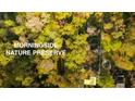 Aerial view of property bordering the Morningside Nature Preserve at 1919 Wellbourne Ne Dr, Atlanta, GA 30324
