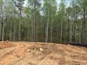 Future homesite showing a partially cleared wooded lot at 140 Cedarwood Ln, Roswell, GA 30075