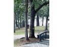 Home exterior featuring mature trees and wooded views at 5400 Kings Camp Rd, Acworth, GA 30102