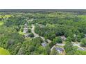 An aerial view of a neighborhood with mature trees and well-maintained homes on spacious lots at 1418 Brighton Pl, Loganville, GA 30052
