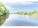 Scenic view of a tranquil lake surrounded by lush greenery reflecting a beautiful clear sky at 123 Wildwood Dr, Temple, GA 30179