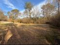 A grassy backyard offers ample space for outdoor activities and enjoyment of nature at 214 S Lake Dr, Hiram, GA 30141