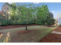 Lush backyard featuring mature trees and green space perfect for outdoor activities and relaxation at 3915 Deerborne Dr, Cumming, GA 30040