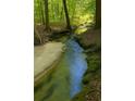 Scenic view of a winding stream through a lush, green forest at 1961 Flowering Dr, Grayson, GA 30017