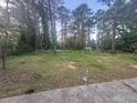 A level lot with mature trees in the background, providing a natural setting at 4262 Lindsey Dr, Decatur, GA 30035