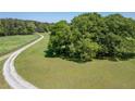 Gravel driveway leading to wooded property with a lush green lawn at 5187 Parkview Rd, Social Circle, GA 30025