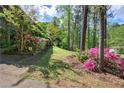 Well maintained lawn featuring green grass, tall trees, and a garden of pink flowers at 5534 Blackhawk Dr, Acworth, GA 30102