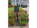 Beautifully landscaped front yard featuring a mailbox surrounded by vibrant, colorful flowers at 3657 Clearbrooke Ct, Duluth, GA 30097