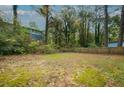 Large backyard featuring an expansive green space perfect for outdoor activities and gardening, surrounded by mature trees at 3074 Delowe Dr, Atlanta, GA 30344