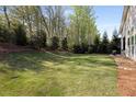 Spacious backyard with lush green grass and mature trees, perfect for outdoor activities at 3825 Raeburn Rd, Cumming, GA 30028