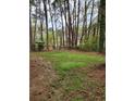Well-maintained backyard featuring a lawn, bordered by mature trees and a chain link fence for privacy at 350 New Jersey Nw Ave, Atlanta, GA 30314