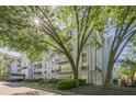 Low angle of condo building with mature trees, landscaping and private balconies at 3203 Lenox Ne Rd # 32, Atlanta, GA 30324