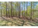 Secluded backyard with mature trees, offering a tranquil escape and plenty of natural shade at 3775 Belle Glade Trl, Snellville, GA 30039