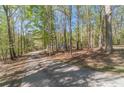 A long, paved driveway leading up to a home surrounded by tall trees, providing seclusion at 3775 Belle Glade Trl, Snellville, GA 30039