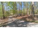 Long paved driveway leading to a picturesque home nestled among lush trees at 3775 Belle Glade Trl, Snellville, GA 30039