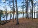 Scenic waterfront view framed by trees, offering a tranquil and private setting at 6337 Ansel Ct, Buford, GA 30518