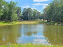 Scenic pond surrounded by lush greenery, creating a tranquil and picturesque natural setting at 1000 Sutherland Lane (Lot 35), Lawrenceville, GA 30043