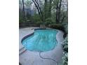 Backyard swimming pool featuring a unique shape, a tiled border, and surrounded by a concrete patio at 9290 Prestwick Club Dr, Johns Creek, GA 30097