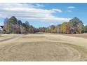 Scenic view of the expansive golf course, framed by mature trees and blue skies at 6048 Golf View Xing, Locust Grove, GA 30248