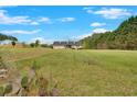 Spacious front yard offering privacy and room for outdoor activities and gardening at 40 L Z Jackson Road, Bowdon, GA 30108