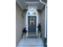 Welcoming front entryway with decorative door and charming potted plants at 10825 Pinewalk Forest Cir, Alpharetta, GA 30022