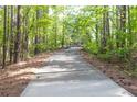Long, private driveway winding through a serene wooded area leading to the property at 1459 Harris Rd, Lawrenceville, GA 30043