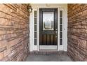 Close-up of a classic front door with glass inserts, flanked by sidelights and stone surround at 113 Highgrove Pl, Mcdonough, GA 30253