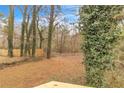 View of the backyard with a mix of trees, grass, and natural vegetation, offering a private outdoor space at 164 Polar Rock Sw Dr, Atlanta, GA 30315