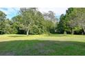 A vast green backyard surrounded by mature trees and lush landscaping at 5690 Abbotts Bridge Rd, Johns Creek, GA 30097