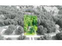 Aerial view of a home on a lush lot surrounded by mature trees, with a property line overlay at 235 Huiet Dr, Mcdonough, GA 30252
