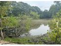 A serene view of the pond from the property's edge, surrounded by lush greenery at 177 New Hope Cir, Fayetteville, GA 30214