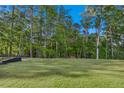 Spacious backyard with lush green grass and mature trees offering privacy at 2013 Ripple Park Bnd, Canton, GA 30114