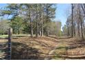 Scenic shot of the driveway with lush trees overhead leading to a private location, perfect for nature enthusiasts at 8740 Atlanta Newnan Rd, Chattahoochee Hills, GA 30268