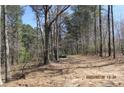 Gravel driveway with treelined path in a quiet location, providing seclusion with natural surroundings and canopy trees at 8740 Atlanta Newnan Rd, Chattahoochee Hills, GA 30268