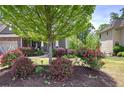 Beautifully landscaped front yard with colorful rose bushes surrounding a mature tree at 544 Pine Way, Dallas, GA 30157