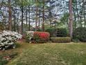 Lush backyard with verdant landscaping and beautiful, mature trees at 3460 Highgate Hills Ne Dr, Duluth, GA 30097