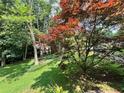 Lush backyard with mature trees, offering privacy and a serene view from the property at 602 Springharbor Dr, Woodstock, GA 30188