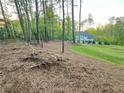 Large private backyard with green grass and a line of mature trees in the background at 1005 Liberty Springs Dr, Woodstock, GA 30188