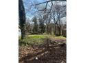 An overgrown lot, full of grass, weeds, downed branches, and trash on a sunny day at 419 Lanier Nw St, Atlanta, GA 30318