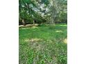 Spacious backyard with lush green grass and ample space at 61 Kathy Ln, Temple, GA 30179