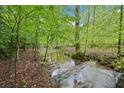 Picturesque creek flowing through a verdant wooded area, offering a peaceful natural setting at 1275 Smokehouse Trl, Cumming, GA 30041