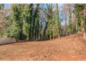 A wooded backyard offers privacy and potential for landscaping and outdoor activities at 4175 Danforth Sw Rd, Atlanta, GA 30331