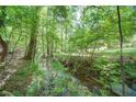 Scenic view of a serene creek flowing through a wooded area, showcasing the property's natural surroundings at 619 Stoney Creek Rd, Woodstock, GA 30188