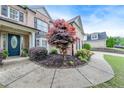 Attractive home featuring a brick facade, trimmed bushes, and a landscaped front yard at 1738 Honey Tree Pl, Hoschton, GA 30548