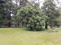 Picturesque backyard featuring mature trees and a spacious grassy area at 1170 Blair Bridge Rd, Austell, GA 30168