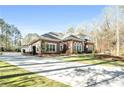 Long driveway leading to a beautiful home with well-manicured landscaping and ample parking space at 850 Cog Hl, Mcdonough, GA 30253