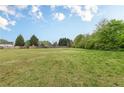 Expansive green backyard, partially fenced, with scattered trees, showcasing a generous outdoor space at 1316 Durham Ter, Mcdonough, GA 30252