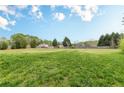 Overiew of a large fenced backyard with mature trees around the perimeter for added privacy at 1316 Durham Ter, Mcdonough, GA 30252
