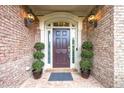 Elegant front entrance with decorative lighting, potted plants, and a classic brick facade at 1364 Gulfport Run, Grayson, GA 30017