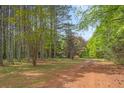 Land view of the home's location with mature trees and a partially visible driveway leading to the property at 928 Rocky Creek Rd, Hampton, GA 30228
